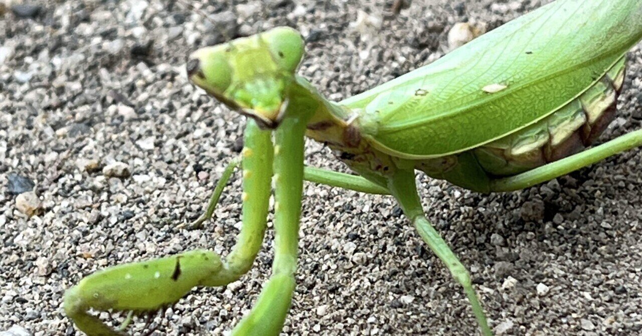 育休パパ】の1day 〜page22｜KazM_papa