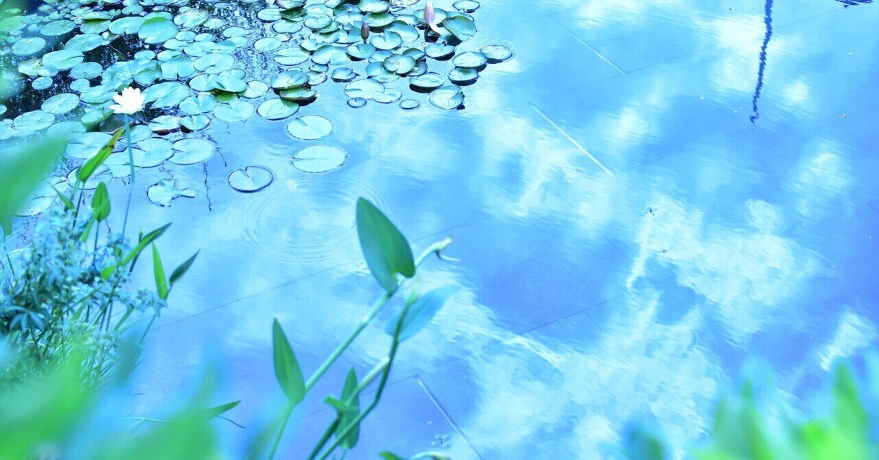 加藤常昭説教全集25 ヨハネの黙示録』(加藤常昭・教文館)｜たかぱん