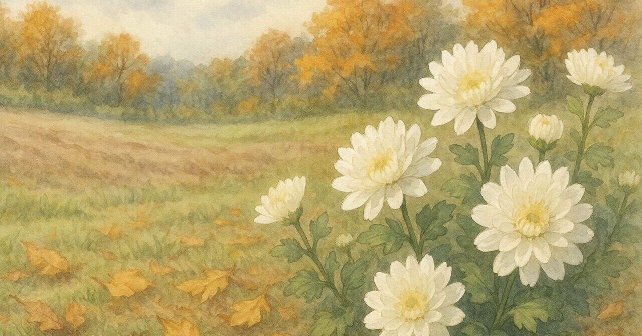 菊の香り、秋深まる 七十二候『菊花開』｜からっ風