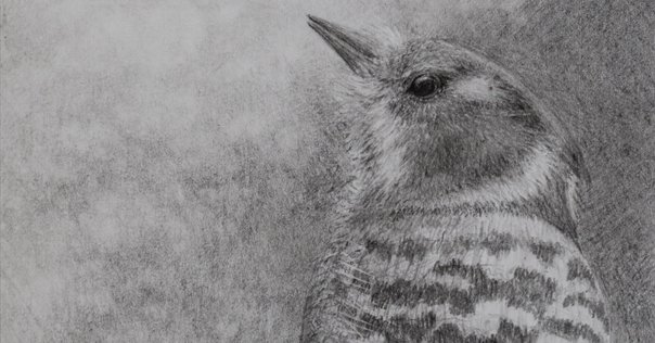 石黒賢一郎】—— 現実を超える細密描写の世界——油彩画 査定 鑑定