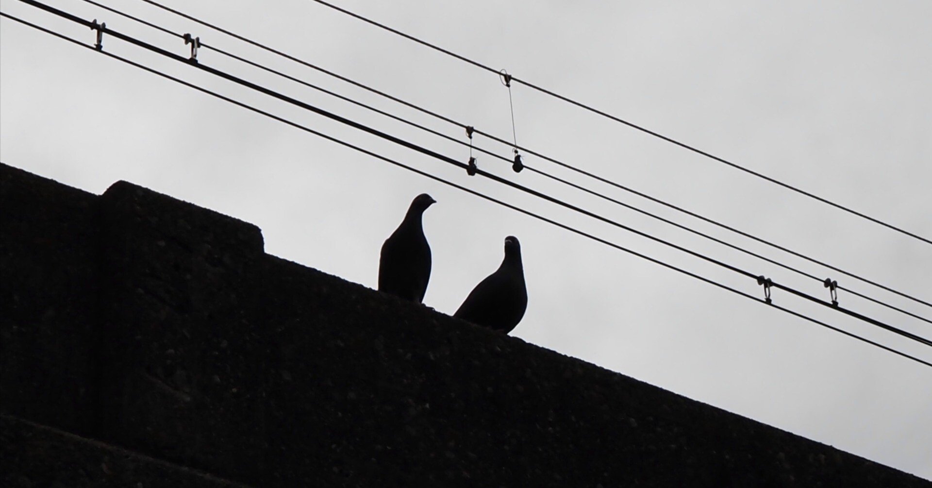 白黒モノクロ写真→【全然ウケない】の理由｜AKIHIRO - MICKEY