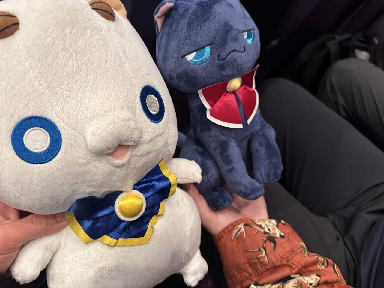 その でっかいコンサートの感想は… ARIA The CONCERT感想｜gorendahk