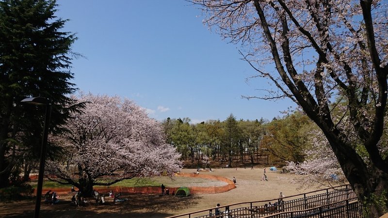 鶴間公園 近所散歩 たたす Note 鶴間公園 近所散歩 たたす Note