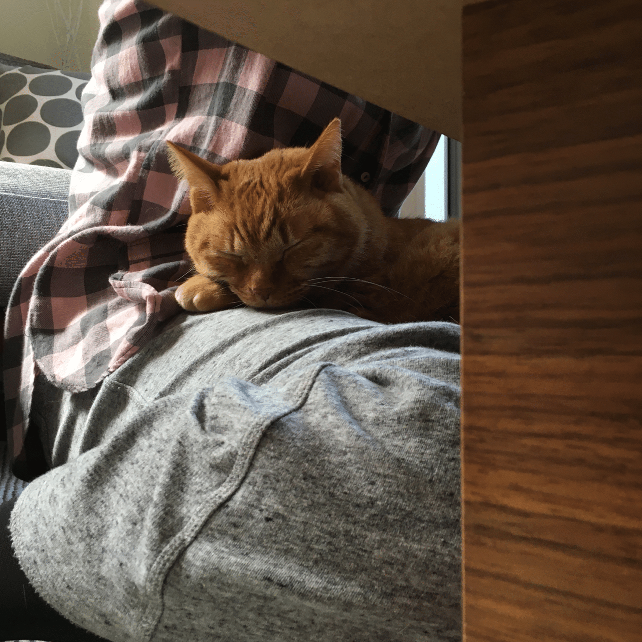 Stay Home｜mizunote｜note