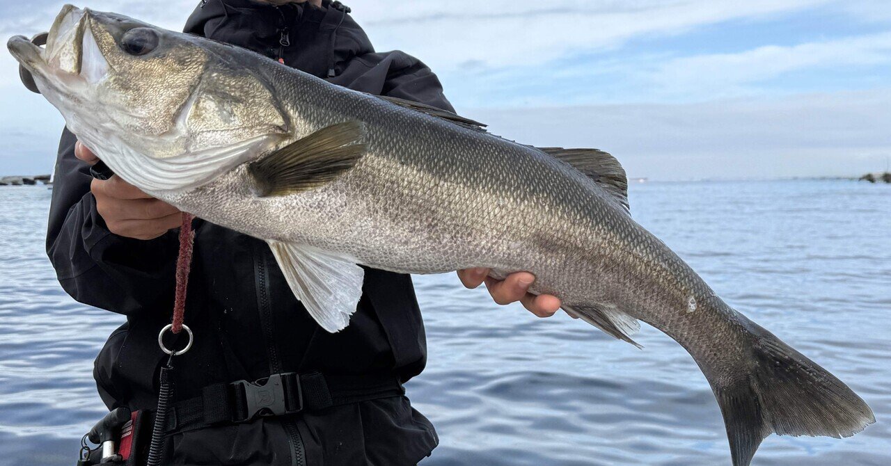 けんけんさん専用メガドッグ220 MEGADOG | Megabass-メガバス