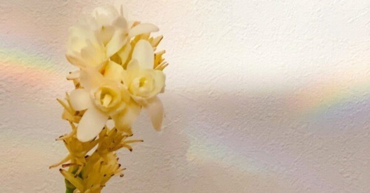 カーナル フラワー / フレデリック マル｜Q