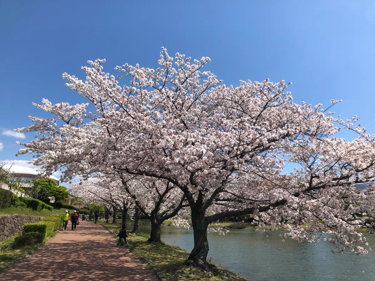 画像16