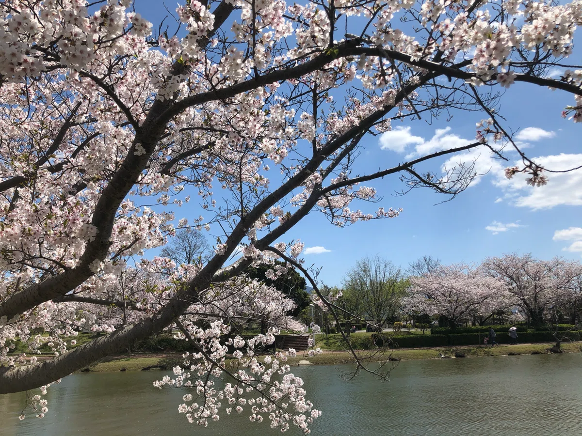 画像18