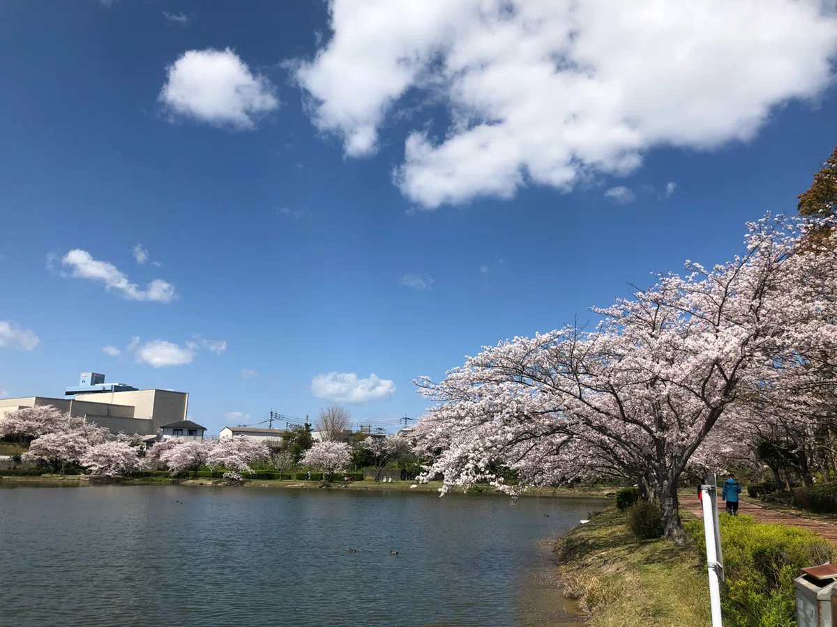 画像19
