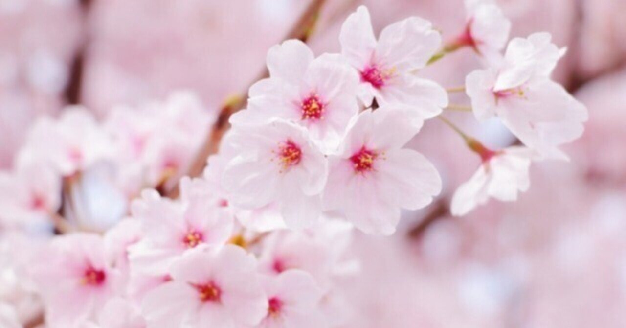 コモレビ / フエギア1833｜Q