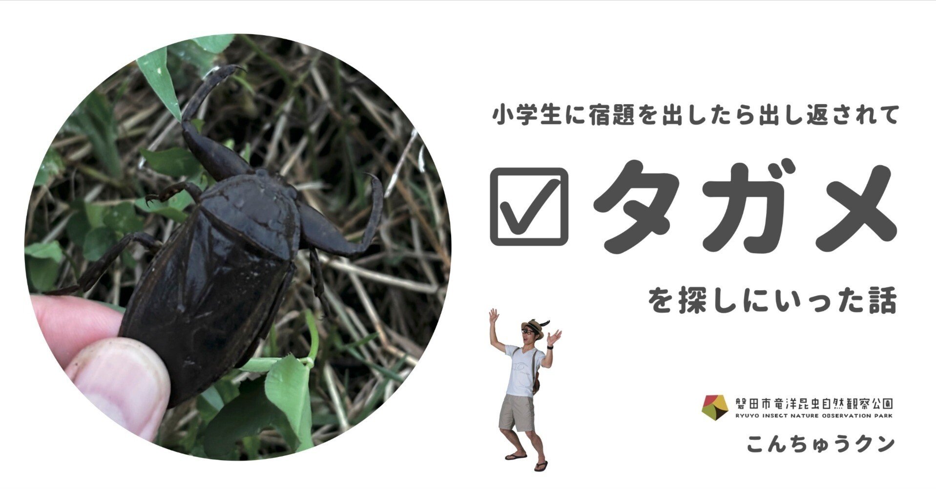小学生に宿題を出したら出し返されてタガメを探しにいった話｜竜洋昆虫