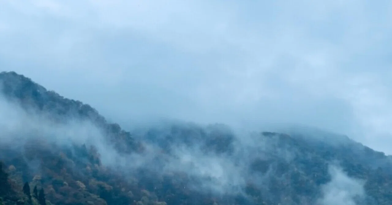 47都道府県音の旅 #1】 Mist in Blue - 霧の高原に見た暖かな青の世界