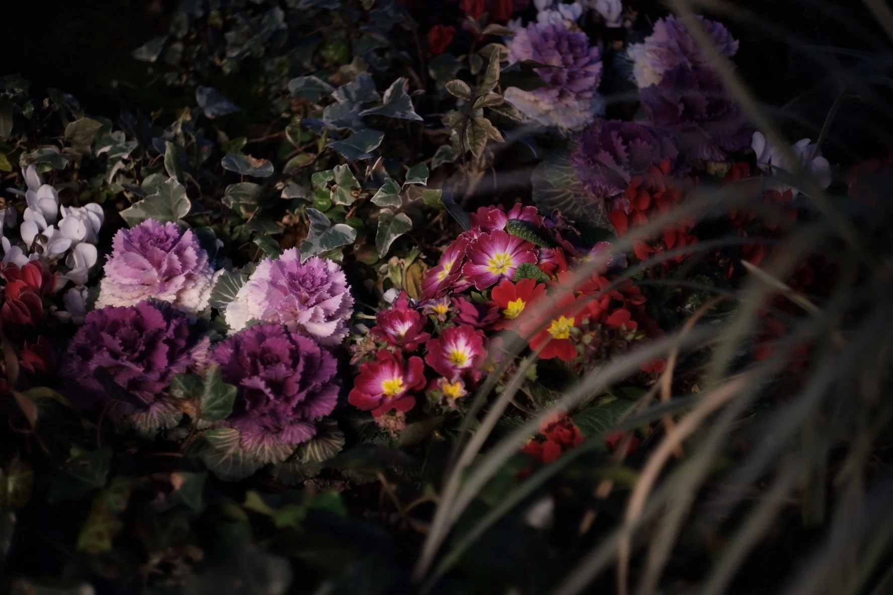 F.Zuiko 32mm F1.7 PEN EED 改造レンズ 【Vol.1】（Camera : FUJIFILM