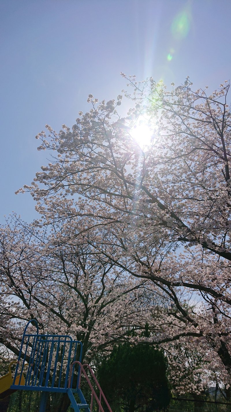 呼び込む気ある 地元のuターン政策 福岡県大牟田市 ナカムラアキヒロ Note