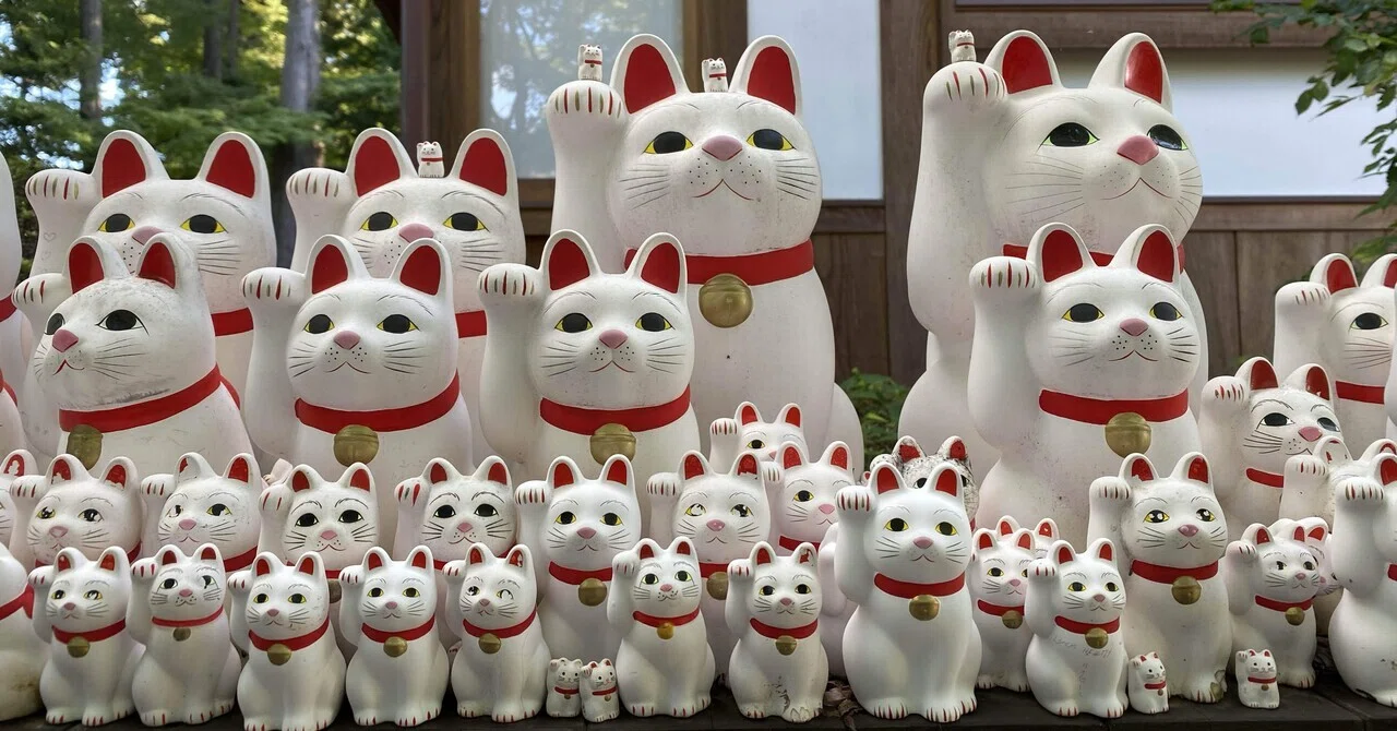 豪徳寺の招き猫｜なつ