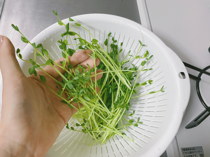 おこもりな朝を幸せにする 豆苗えのきのペペロンチーノ きょうの台所 5 なかがわ あすか Note