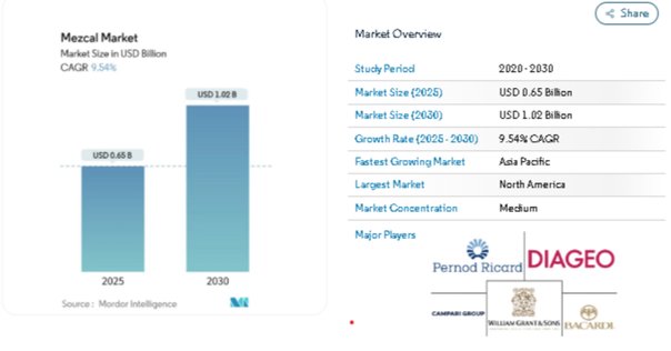 日本未上陸のテキーラ独占販売契約締結（2024/10月）｜株式会社Minnamigo