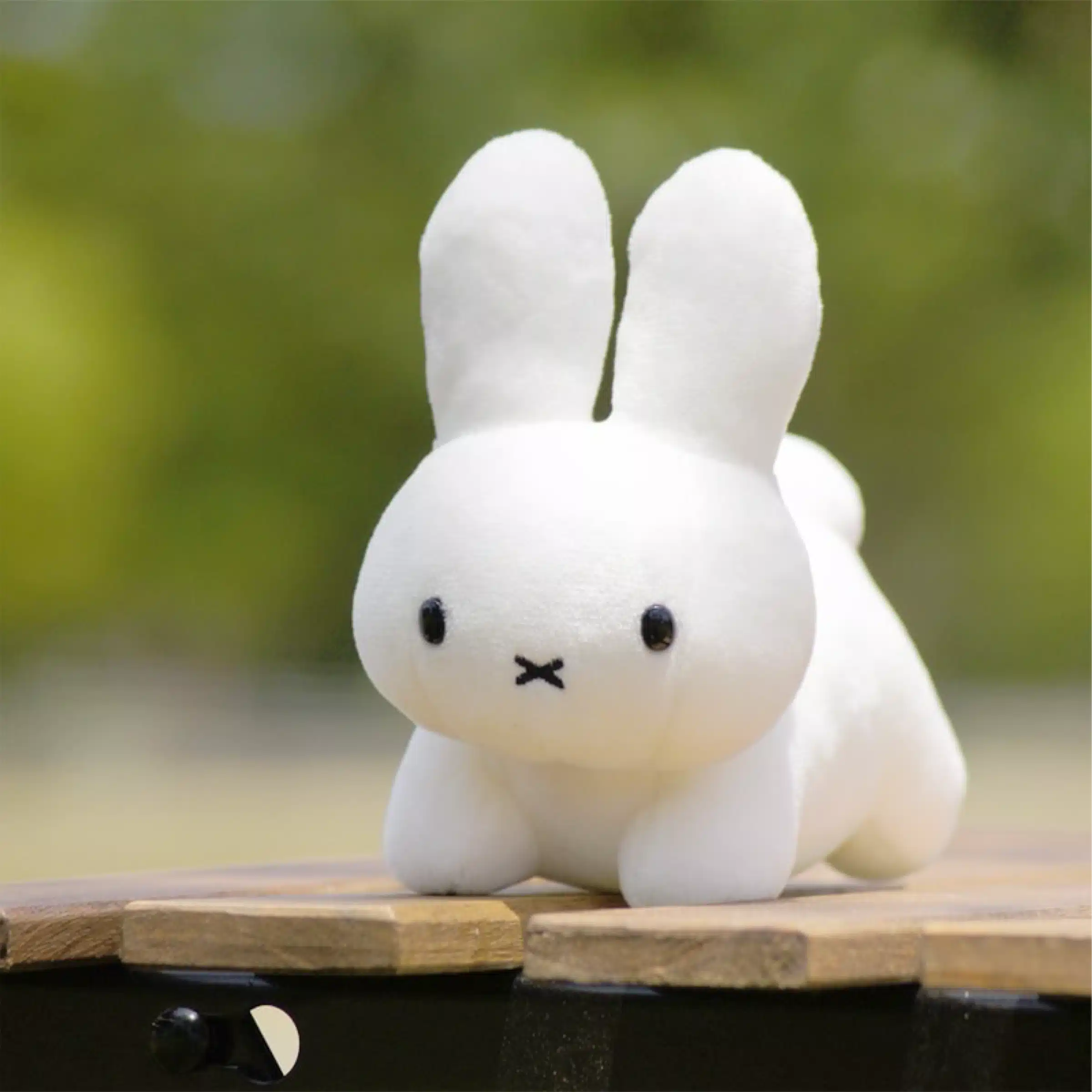 ゆき
