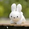 ゆき