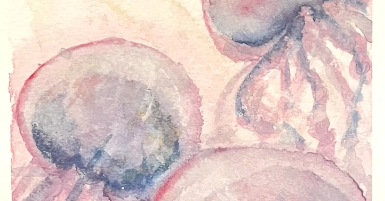作品紹介『海月の絵』｜M.H.
