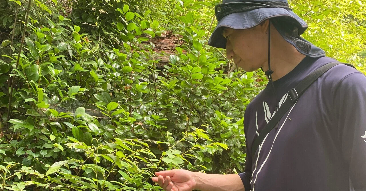Earthing through your fingertips: A story that begins even without bare ...