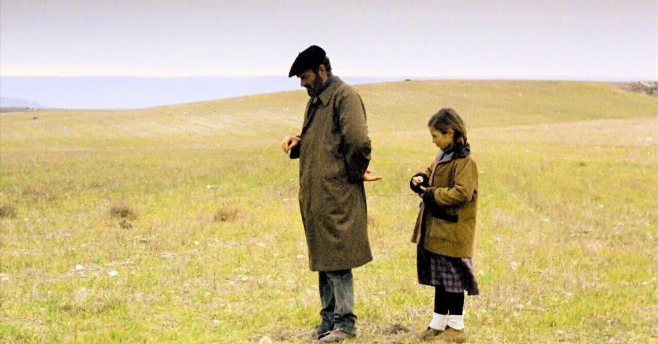 見えない力を映す光 －映画『エル・スール』の美しさ｜ミック@アート