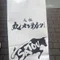 sun|アイルランド留学中