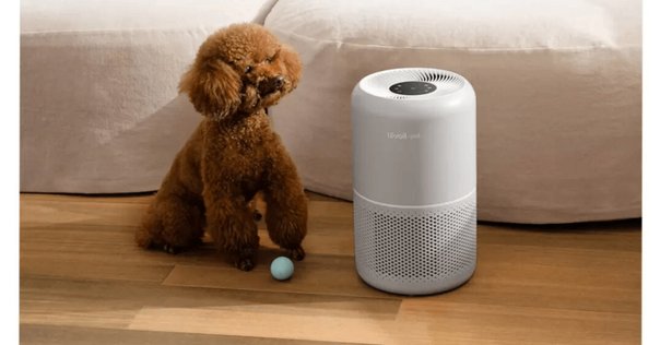 CAARANYはどこの国のブランド？ペットドライルーム・65L大容量 ドライ