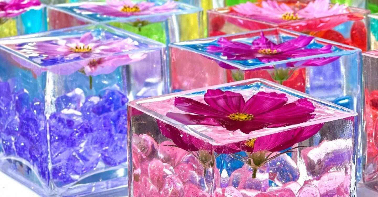 花の寺│ 風にそよぐ、ガラスの中のコスモス－ 般若寺 －｜大福と綴る 