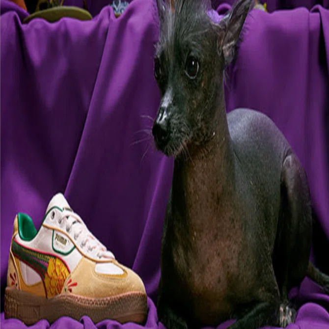 【即購入⭕】チーバス・グアダラハラ PUMA メキシコ Mexico メキシコ限定】PUMA×死者の日のコラボアイテムに注目💀🌼｜Alma México