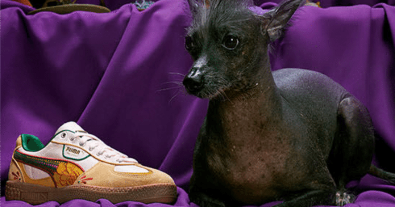 メキシコ限定】PUMA×死者の日のコラボアイテムに注目💀🌼｜Alma México