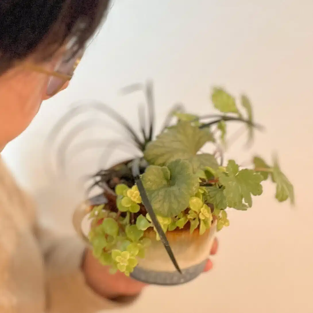 Atelier HANAre 　-行間を読むように、植物とくらす-
