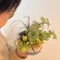 Atelier HANAre -行間を読むように、植物とくらす-