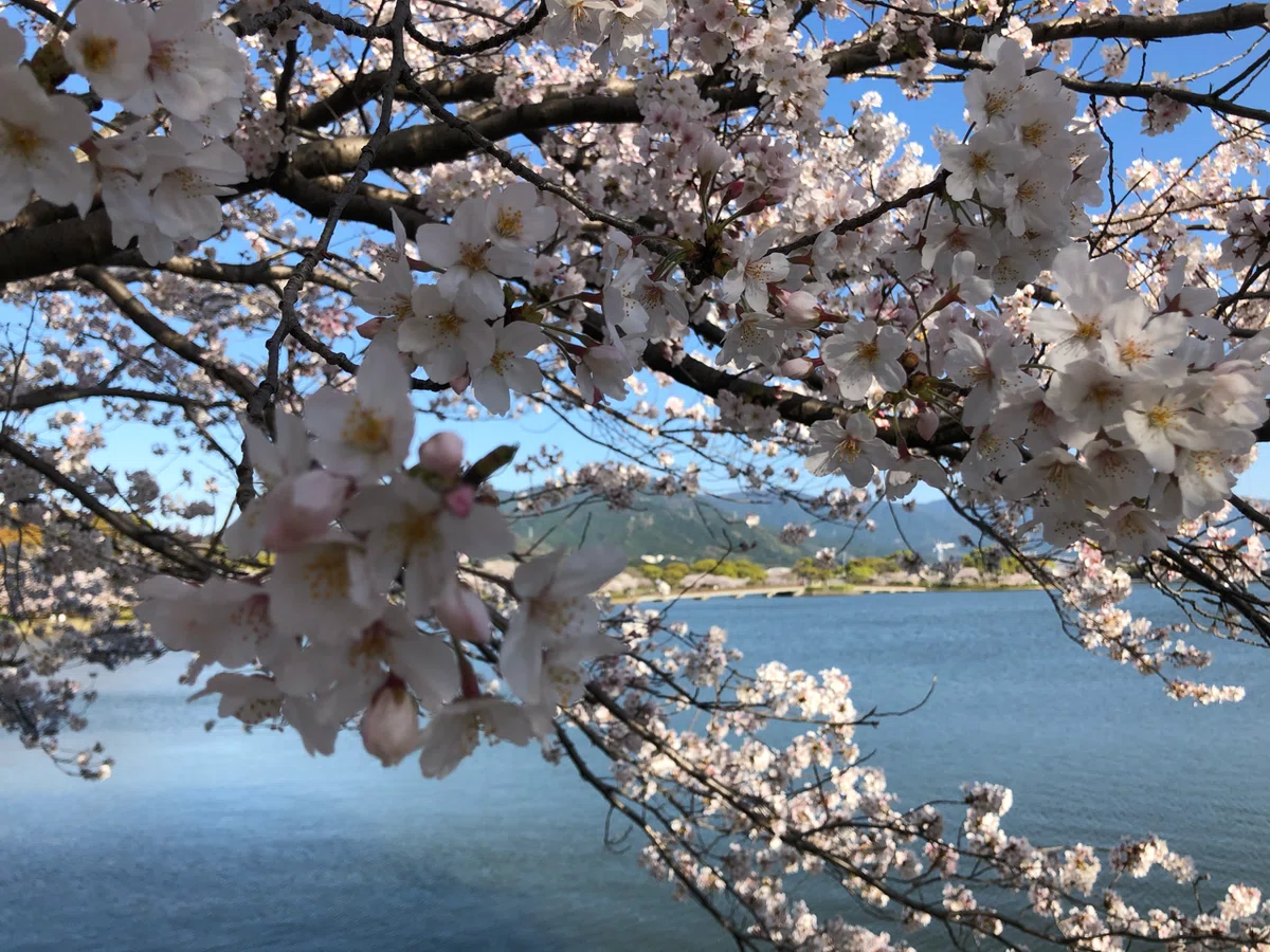 画像26