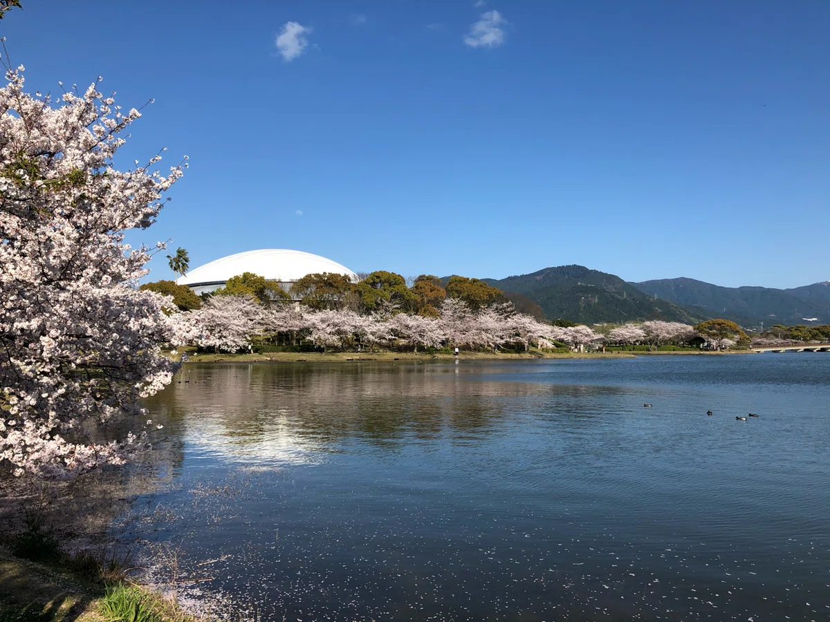 画像27