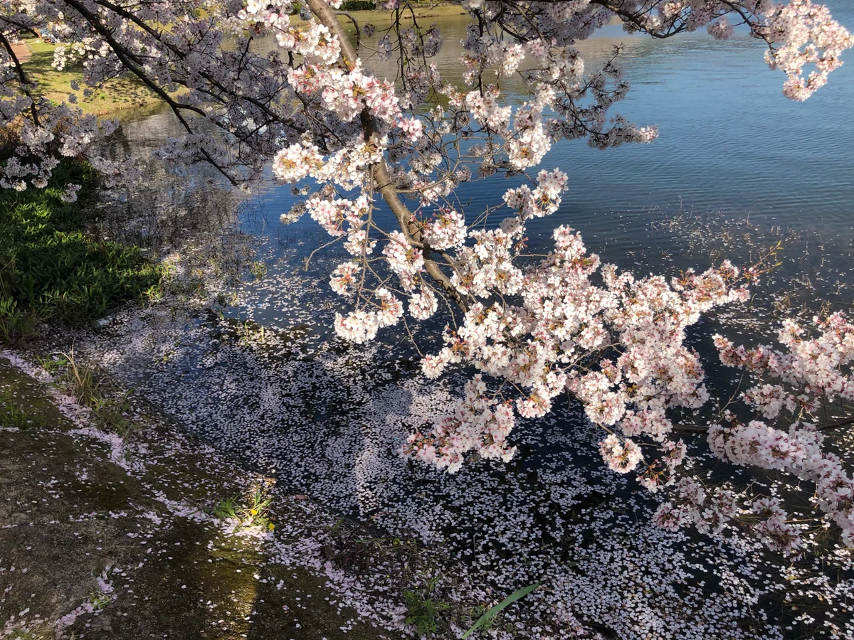 画像28