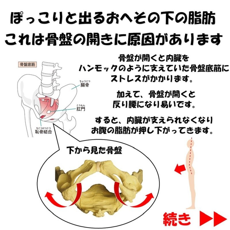 痩せても落ちない臍下のお肉と姿勢と骨盤の関係性 Revisionginza Note 痩せても落ちない臍下のお肉と姿勢と骨盤の関係性 Revisionginza Note