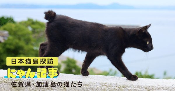 クロネコみっけ｜ヤマト運輸公式note｜note