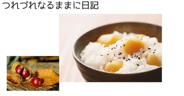 大野誠二 作 萩焼茶碗｜めばる