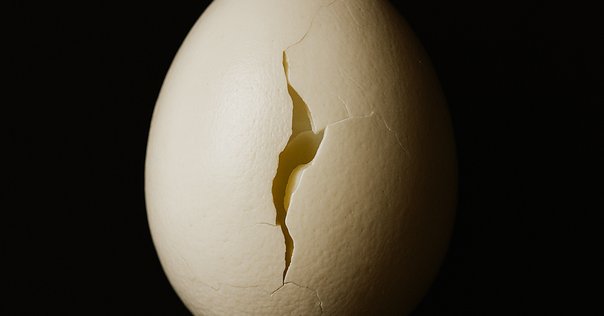 betcover!!『卵』に関する、ひとつの大きな誤読といくつかの放言