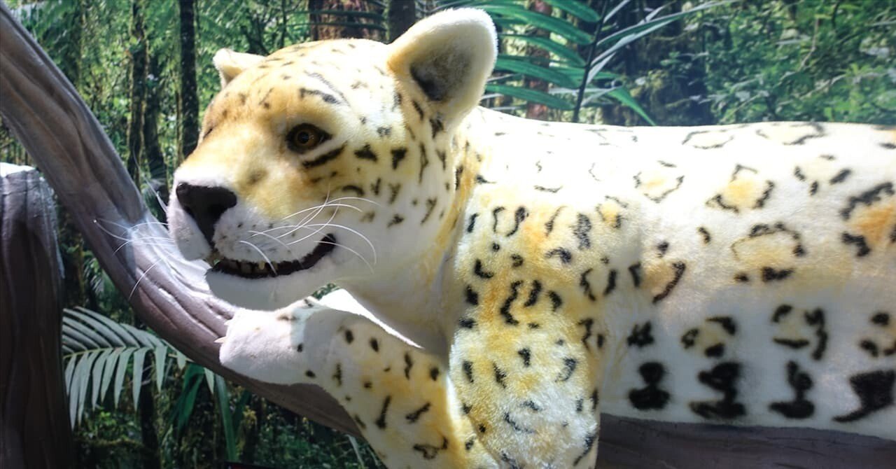 d4f95b3bc76d7edbb46441a1da7daf