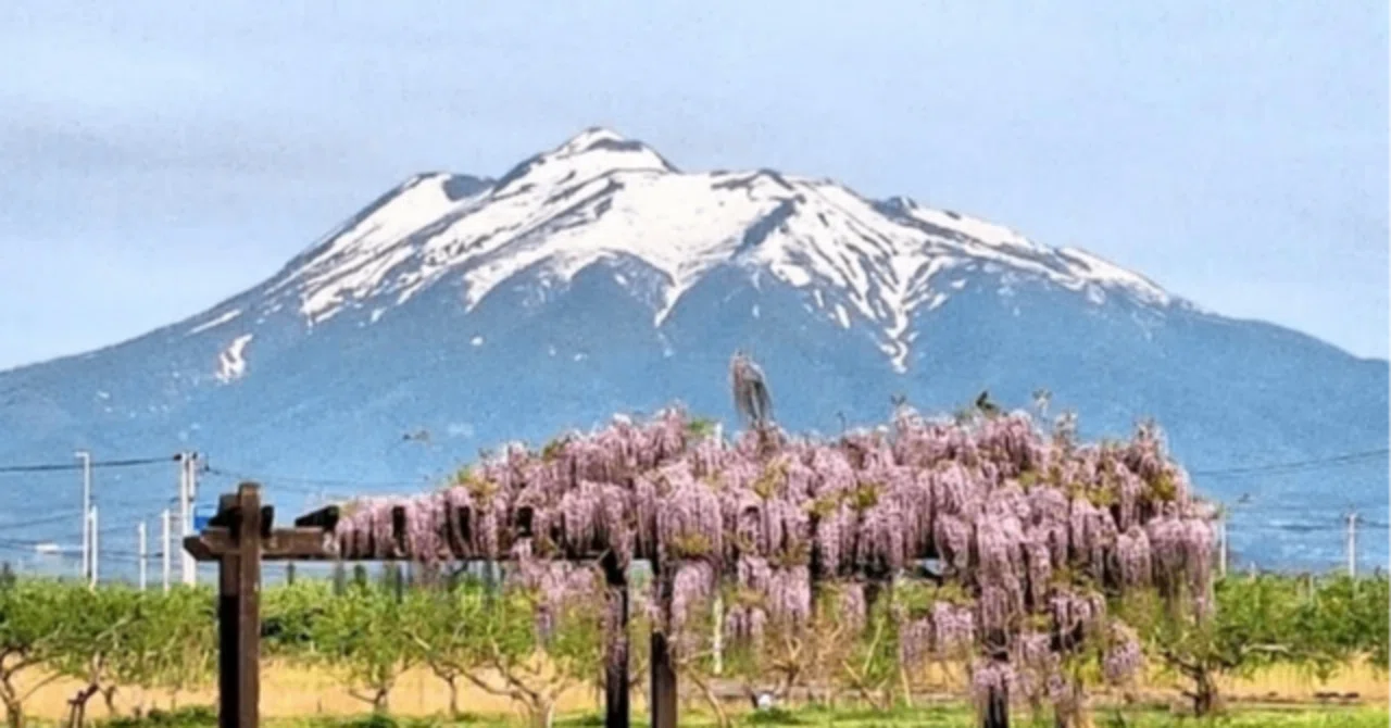 なぜ岩木山は「日本一」なのか？雪解けの山肌に隠された、津軽の人々の