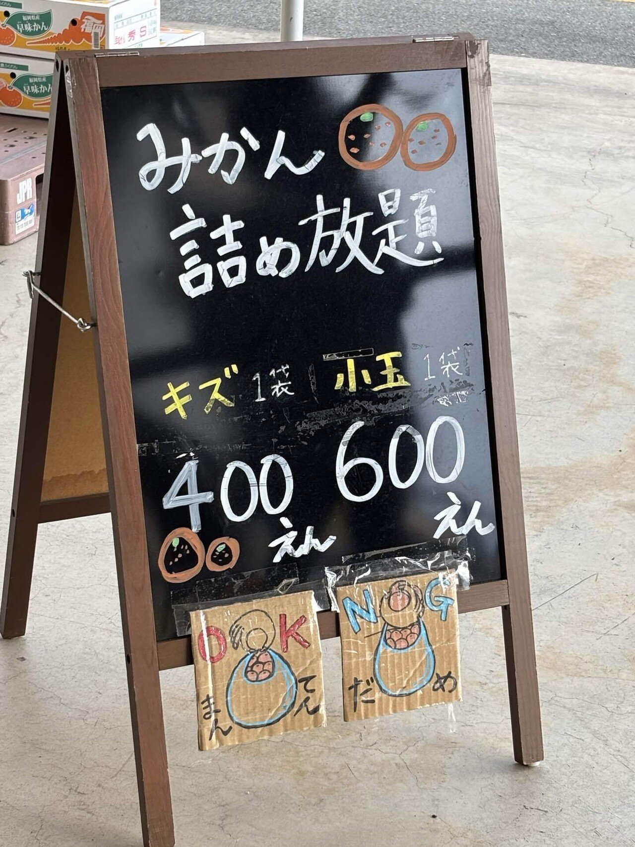 知る人ぞ知る「山川みかん」｜山城京子