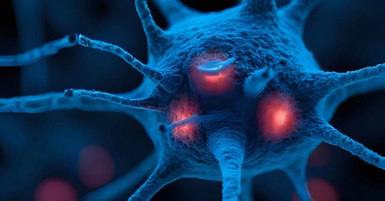 最新｜亜鉛欠乏と新規発症認知症リスクの関連性：後ろ向きコホート研究