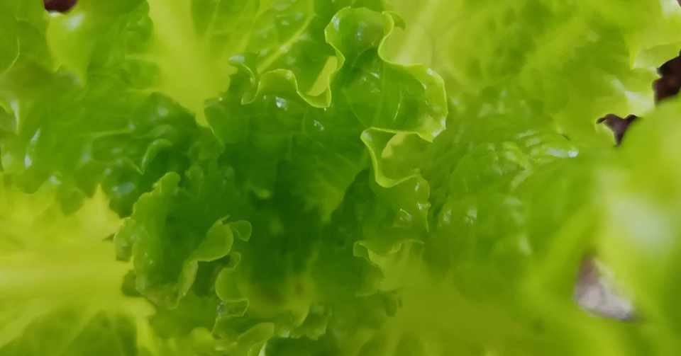 半径2メートル以内に目を向ける しろぐ Note