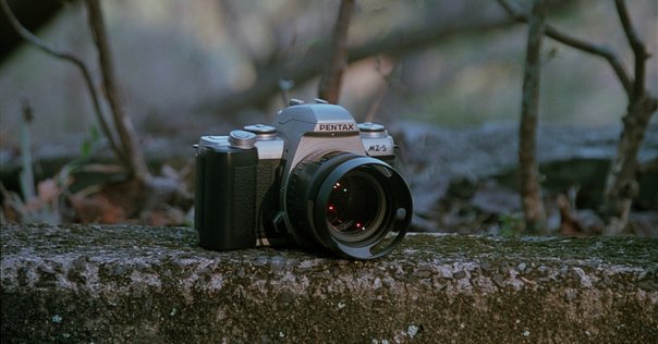 Canon Nikon PENTAX MINOLTA レンズ 13本まとめ Canon Nikon PENTAX MINOLTA レンズ 13本まとめ