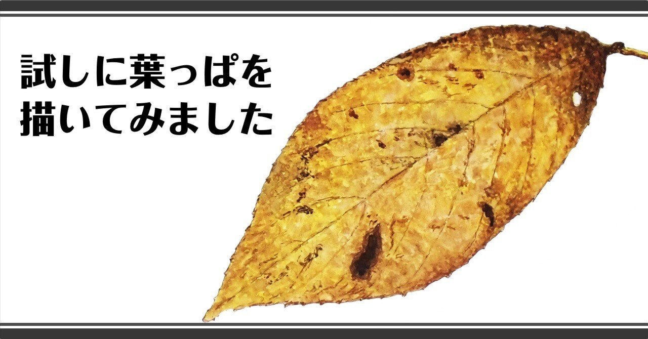 試しに葉っぱを描いてみました｜みらいずみっくす