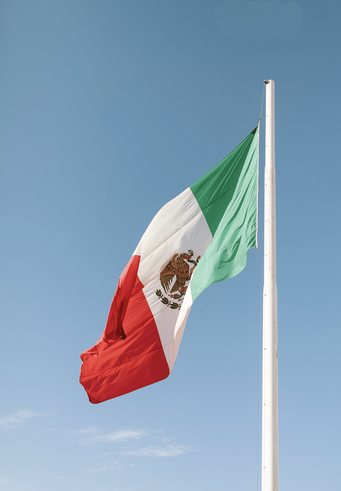 子連れ海外旅行｜本場のメキシコウェディングに参列したリアル体験記｜２３, image size:1179x1695