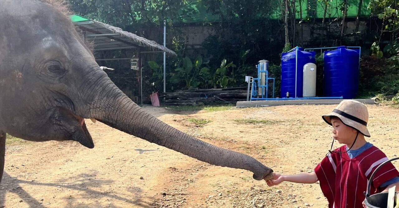 #3 Traveling with Kids in Thailand: The Day We Got Within Zero Distance ...