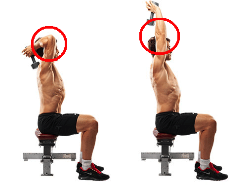 上腕三頭筋のトレーニング しょー 医療系 筋トレ ランナーnote Note